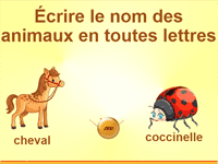 Jeu en ligne gratuit - clique et écris le nom des animaux